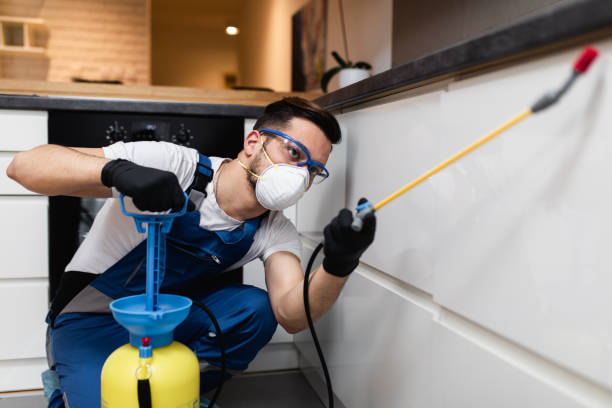 Best Mosquito Control Services  in Merlin, OR