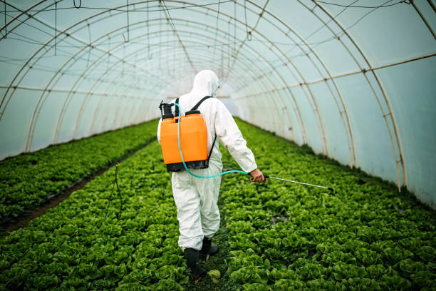 Best Ant Control Services  in Merlin, OR