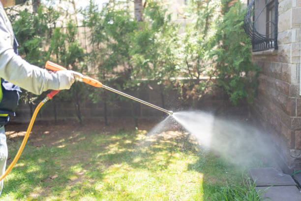 Best Pest Removal Services  in Merlin, OR