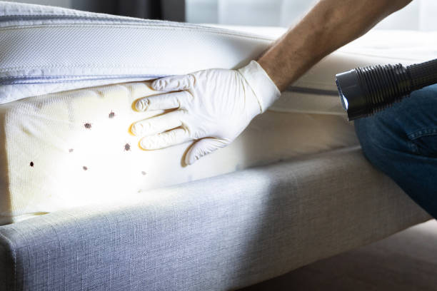 Best Local Pest Control Services  in Merlin, OR