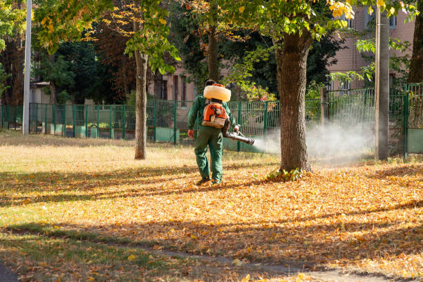 Best Pest Removal Services  in Merlin, OR