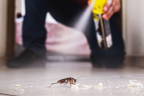 Professional Pest Control in Merlin, OR