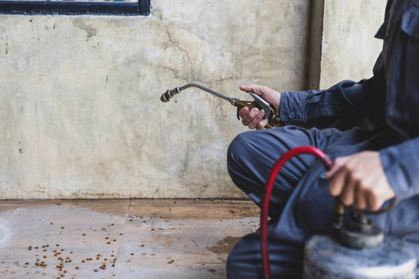 Best Rat Extermination Near Me  in Merlin, OR